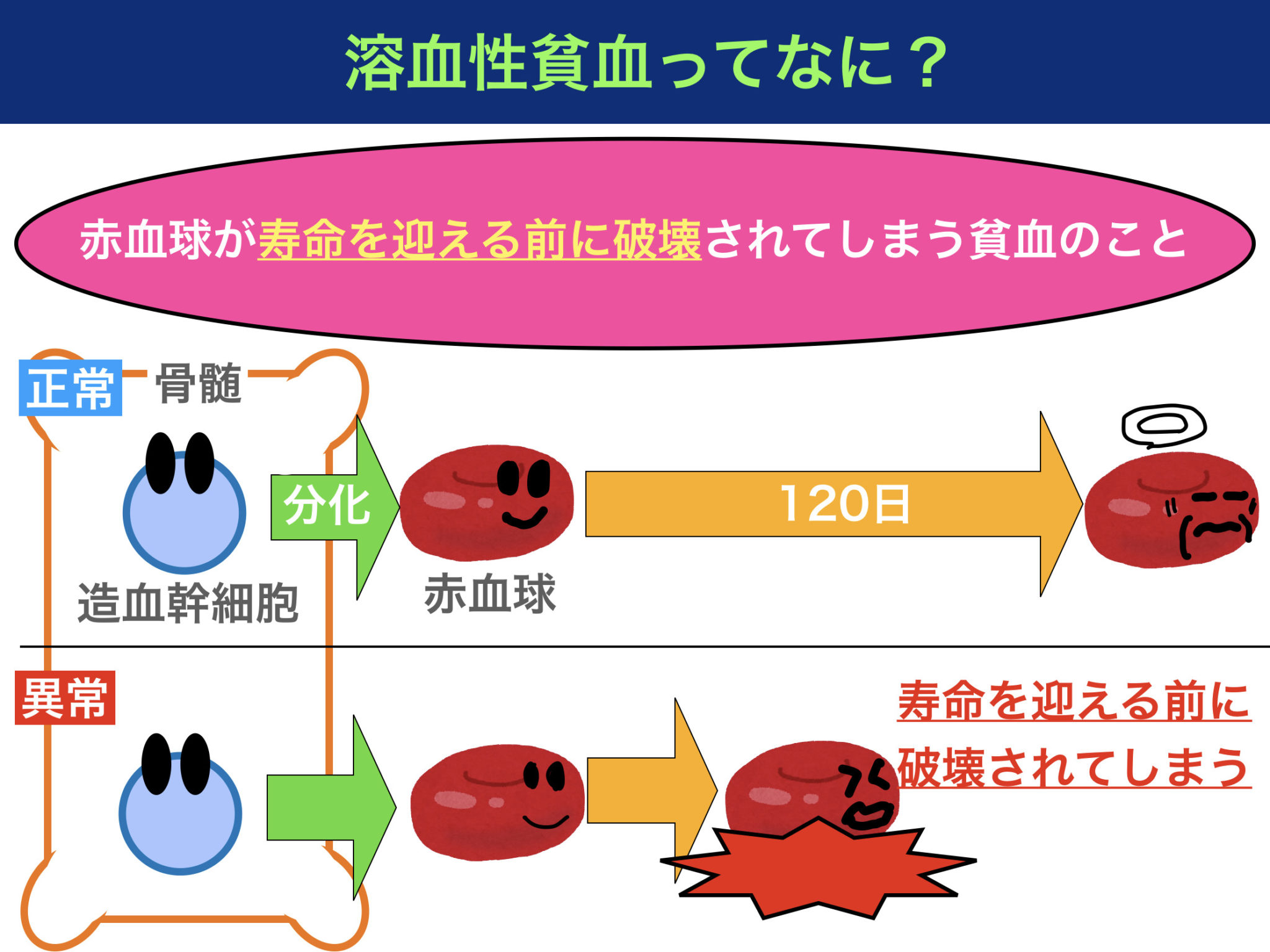 貧血 7.7