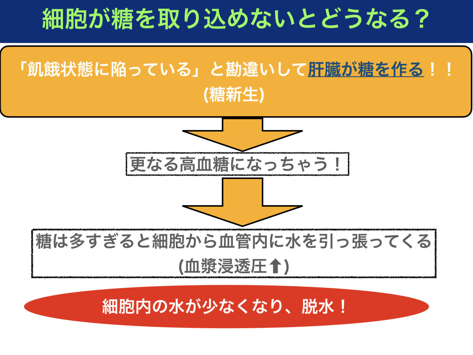 生理的ケトーシス