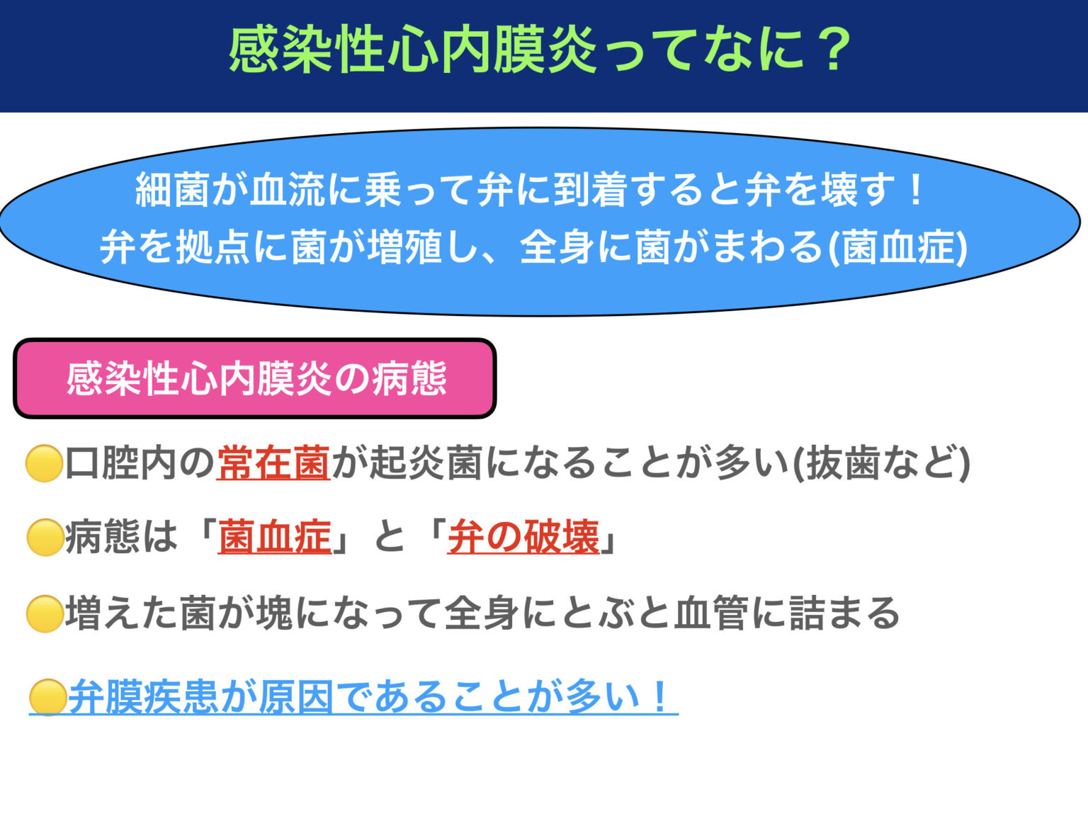 感染性心内膜炎の病態を解説！起因菌や疣贅をわかりやすくイラスト付きで