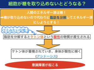 糖尿病昏睡とは？〜糖尿病性ケトアシドーシスの病態メカニズムをイラストで解説！〜