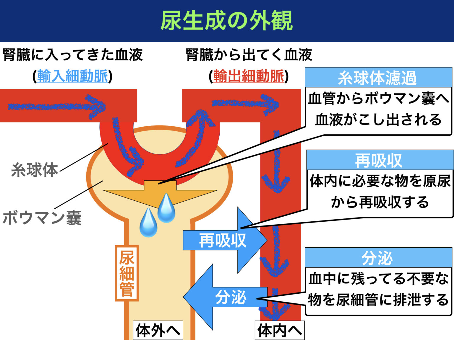 柳原可奈子 本名