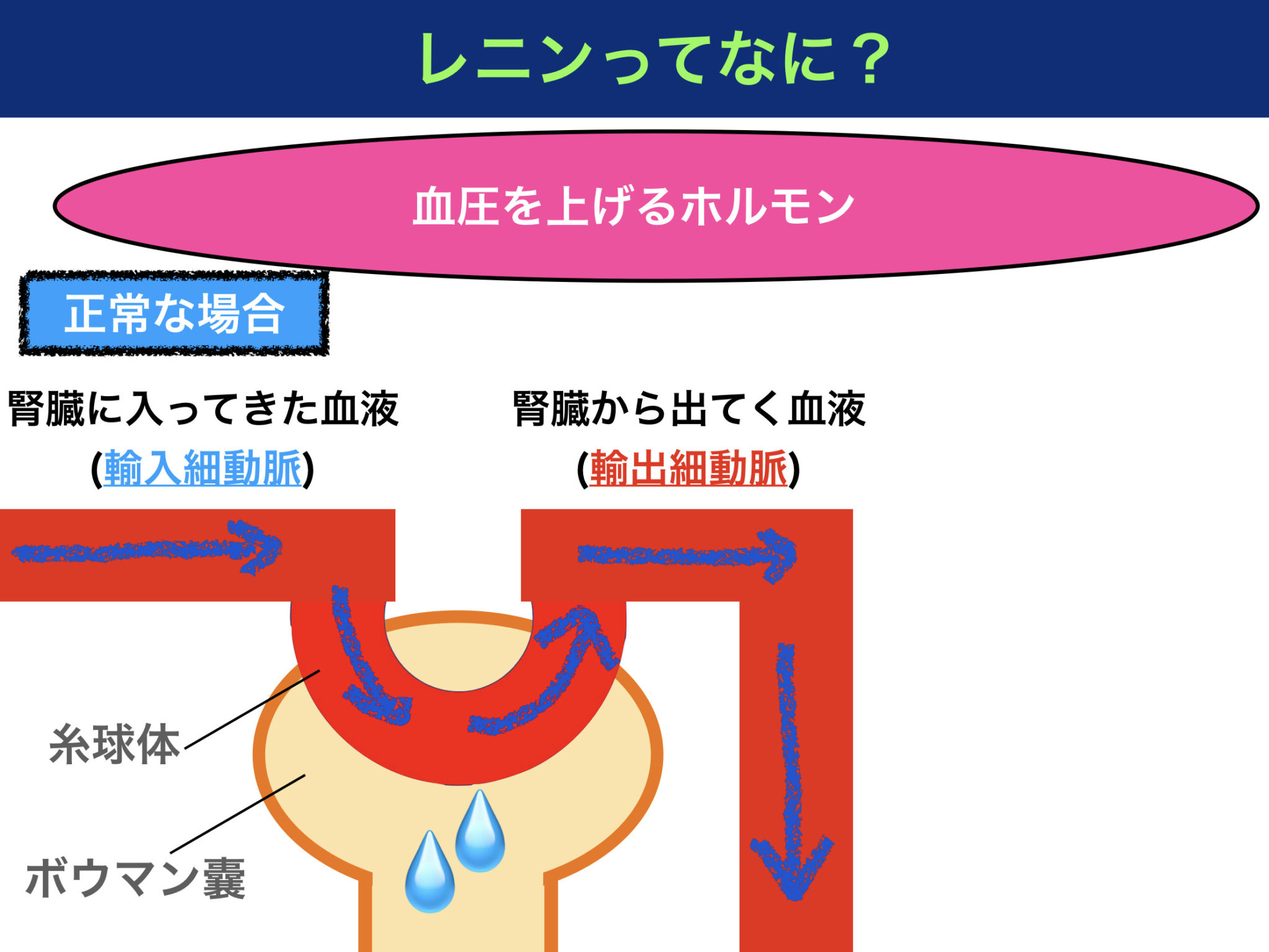 藤田菜七子 落馬 骨折