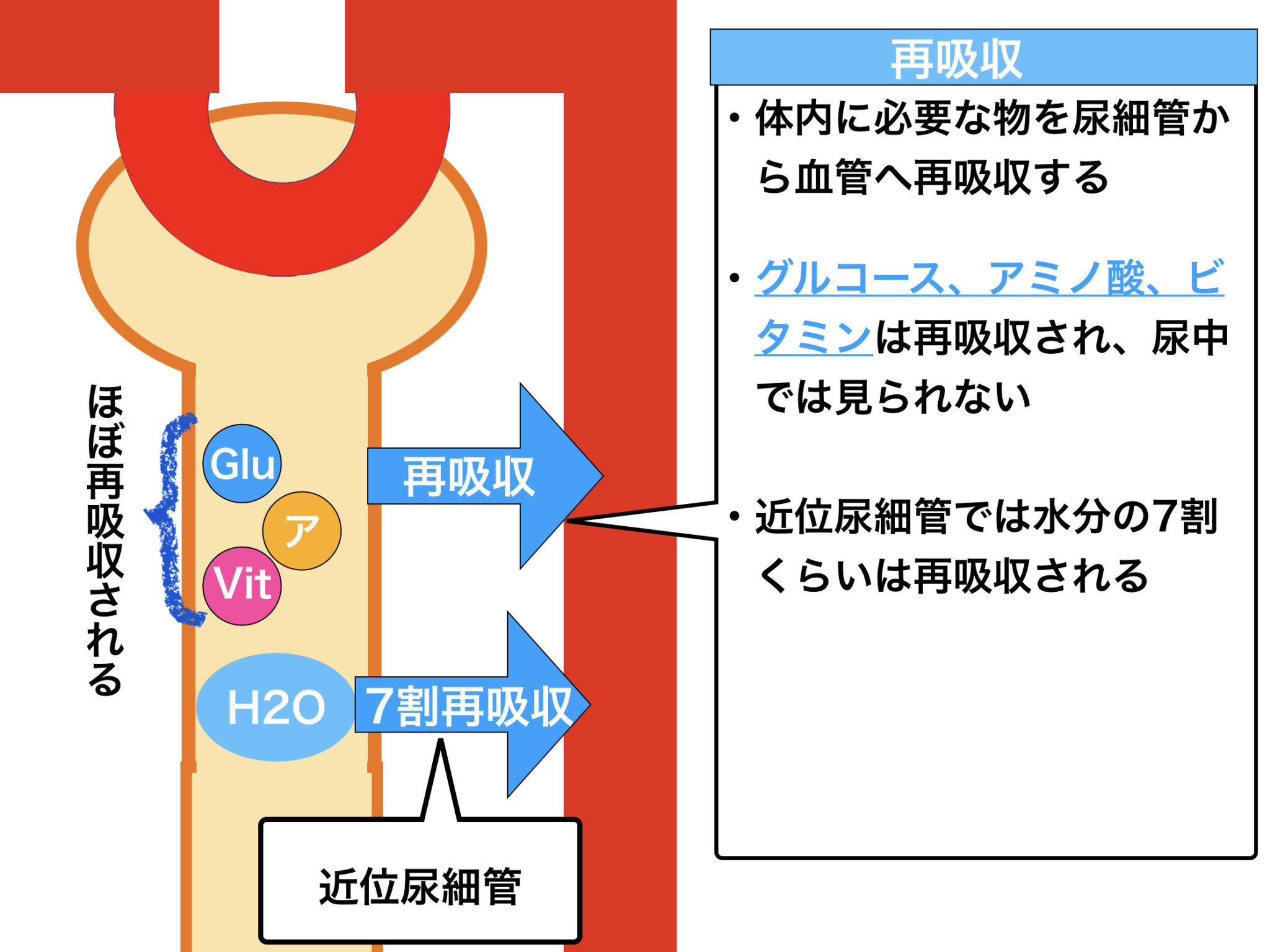 アレン様 夜更かし