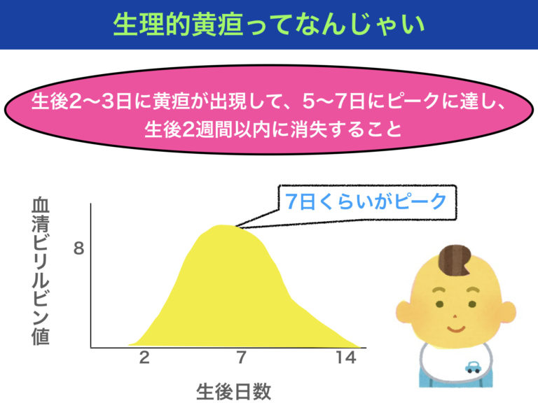 生理的黄疸の原因とは？ピークの日数や病態をわかりやすく解説！