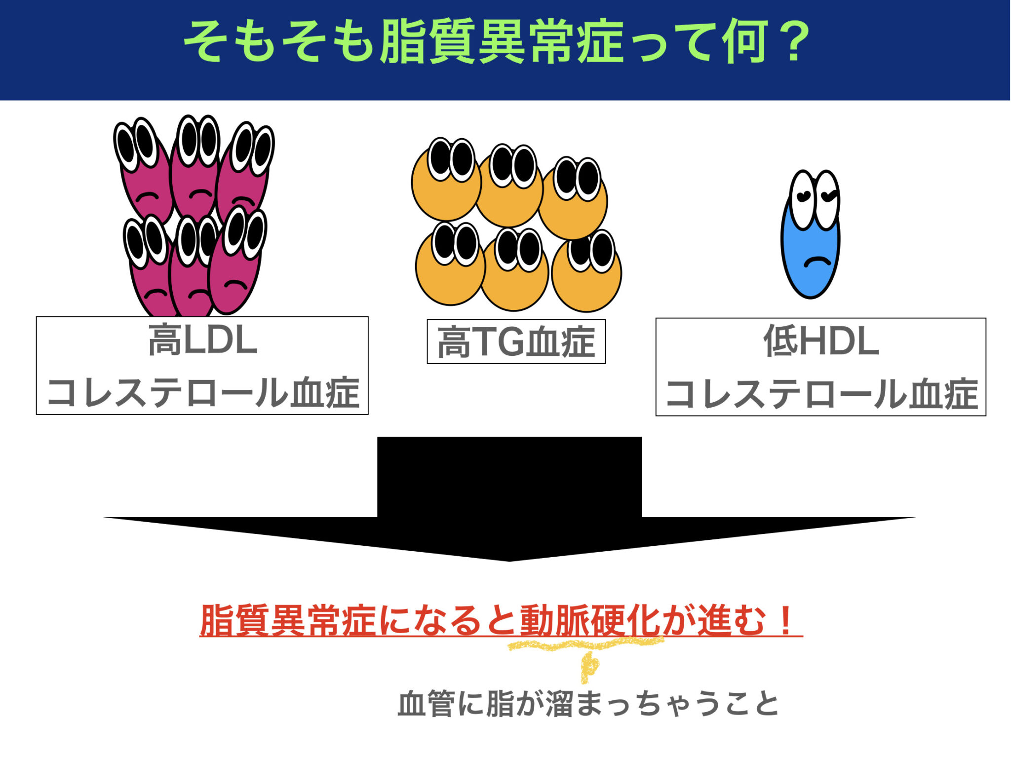 脂質異常症とはどんな病態？〜診断基準や、LDLコレステロールとHDLコレステロールの違いをわかりやすく解説！〜