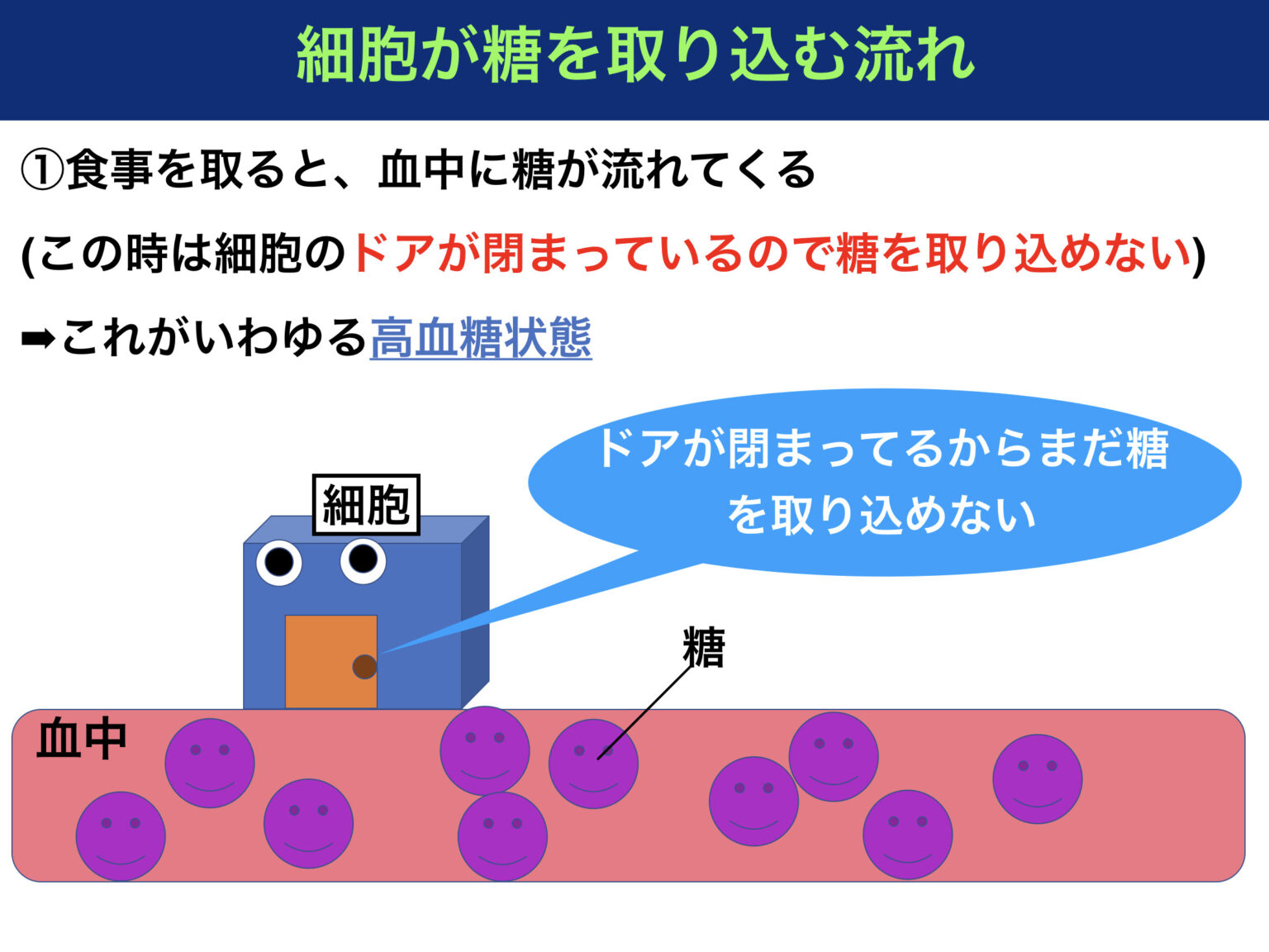 1型糖尿病の病態とは？〜原因や症状をわかりやすく解説！〜