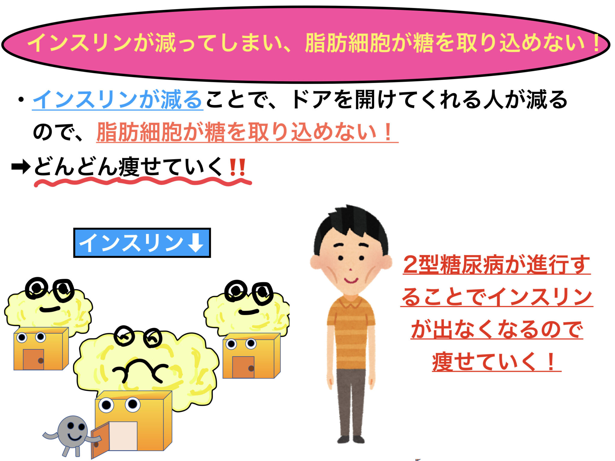 2型糖尿病が痩せていく理由とは〜看護師国試を解説！〜 2920