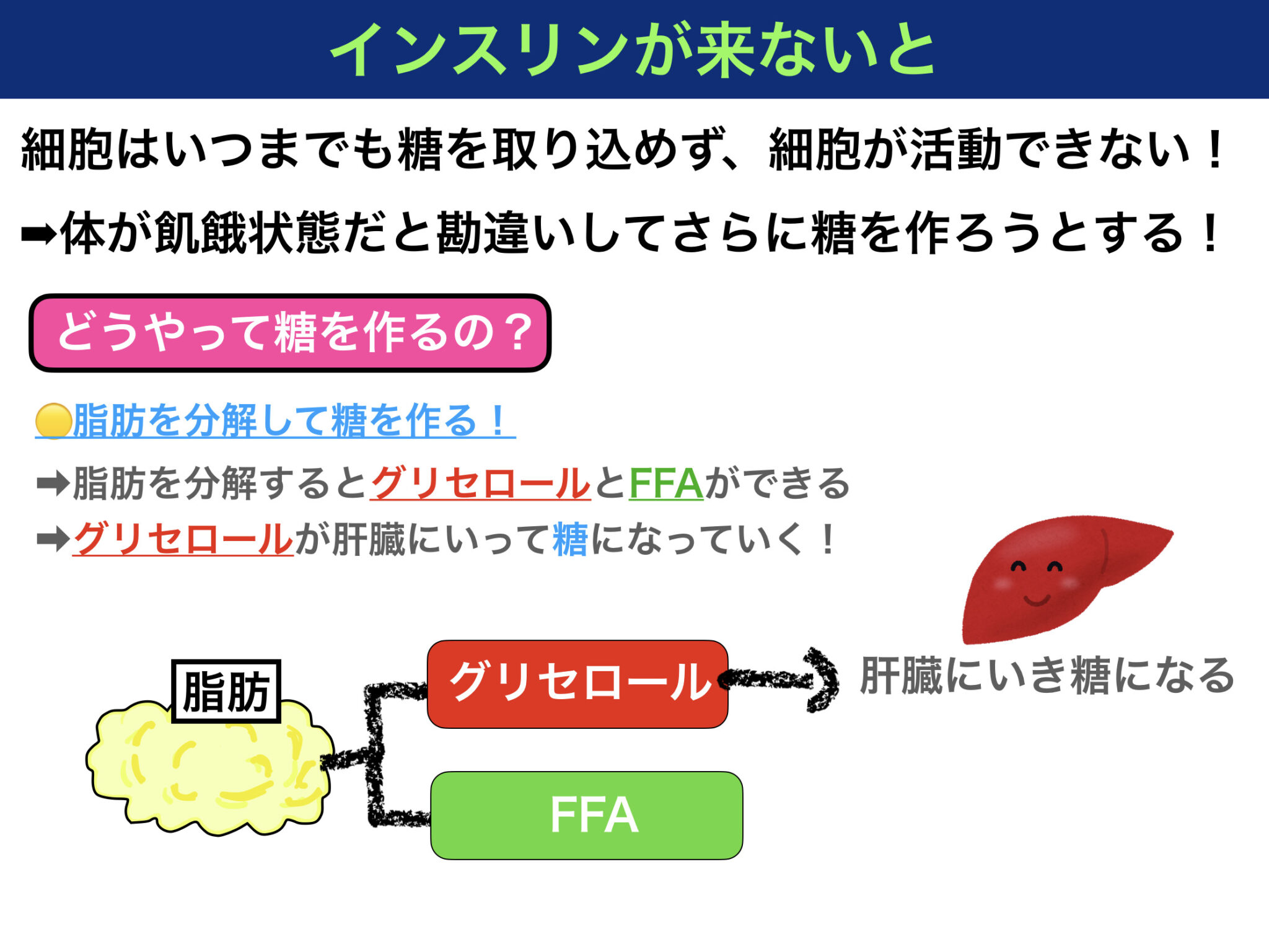 糖尿病ケトアシドーシスとは？〜脱水やアシドーシスになる機序や症状をわかりやすく解説！〜