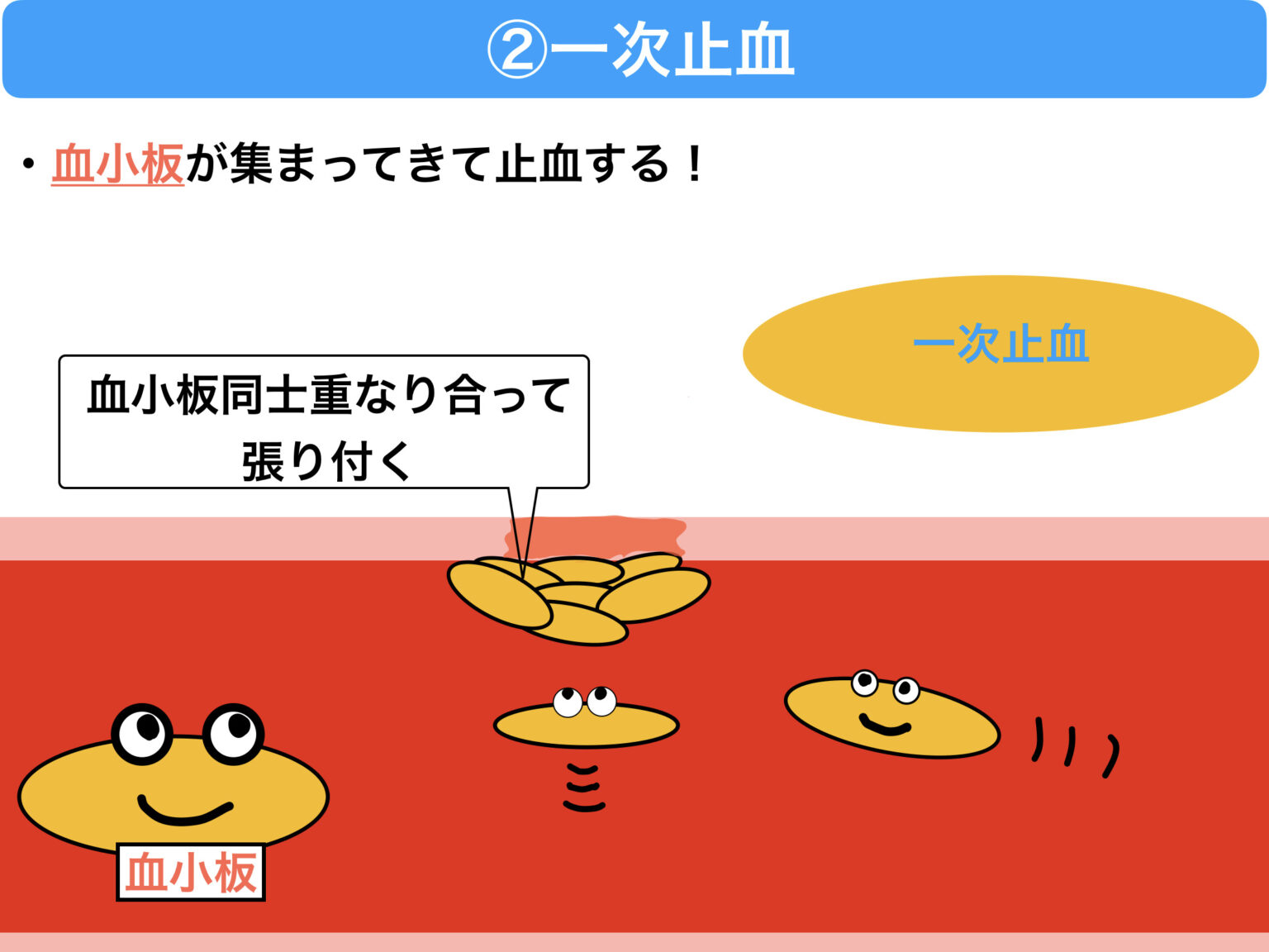 播種性血管内凝固症候群(DIC)とは？病態や症状をわかりやすくイラストで解説！