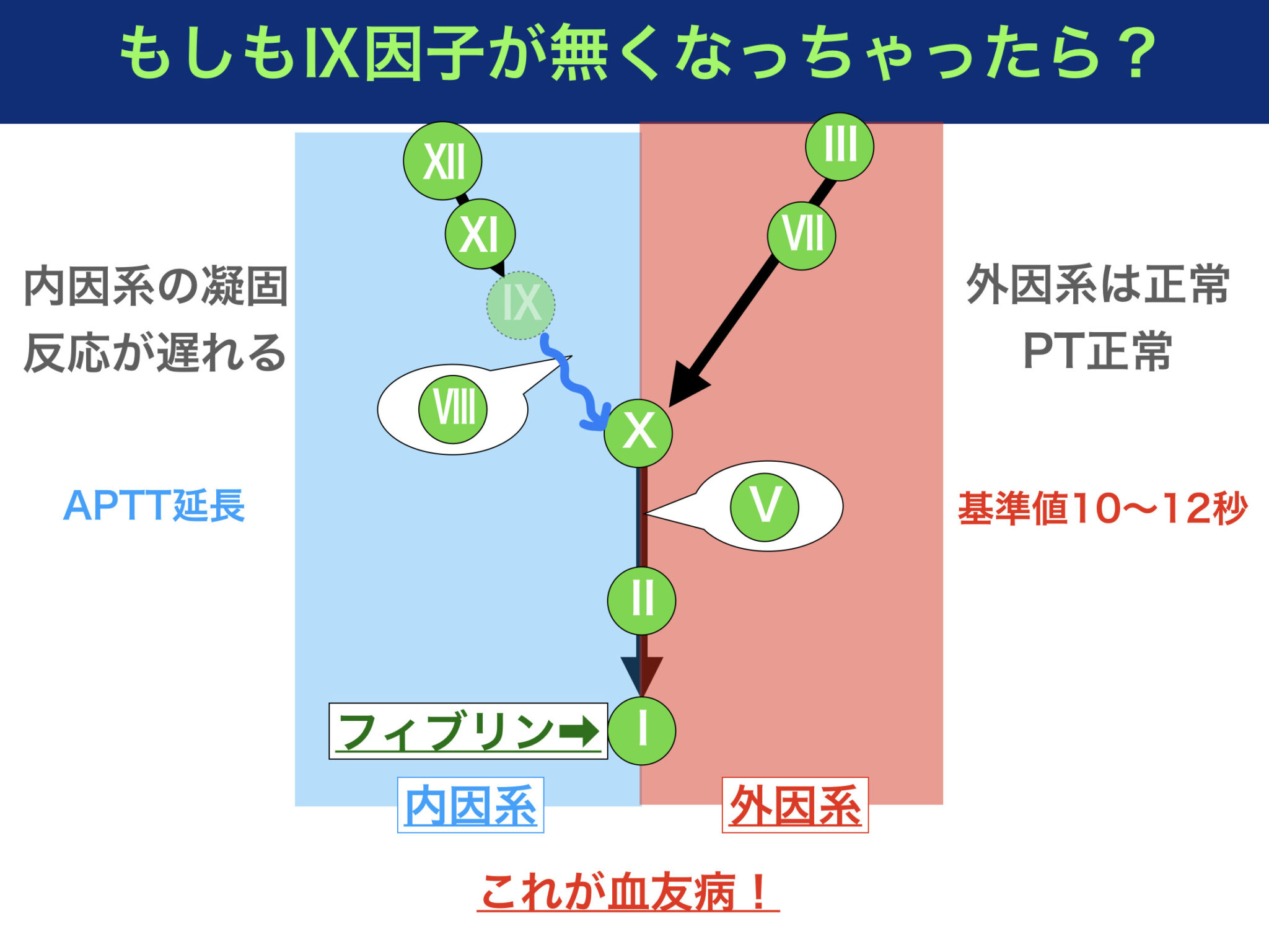 播種性血管内凝固症候群(DIC)とは？病態や症状をわかりやすくイラストで解説！